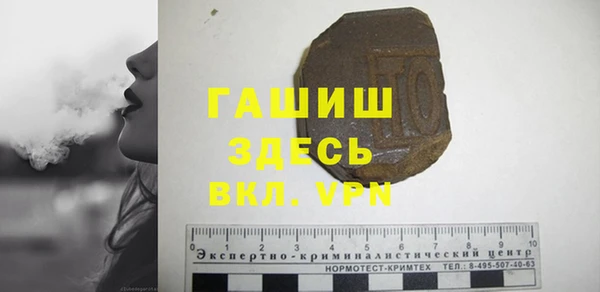 индика Алексин