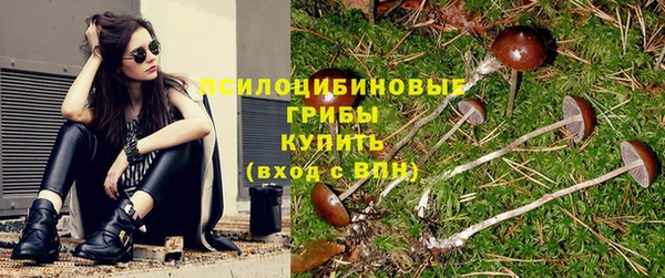 индика Алексин