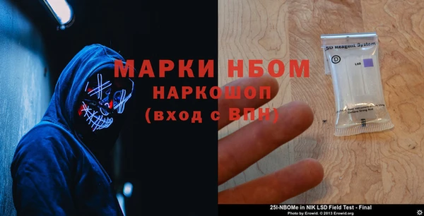 индика Алексин