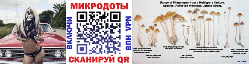 KRAKEN ТОР  Анжеро-Судженск  Псилоцибиновые грибы Psilocybine cubensis 